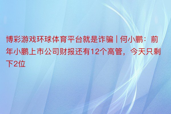 博彩游戏环球体育平台就是诈骗 | 何小鹏：前年小鹏上市公司财报还有12个高管，今天只剩下2位
